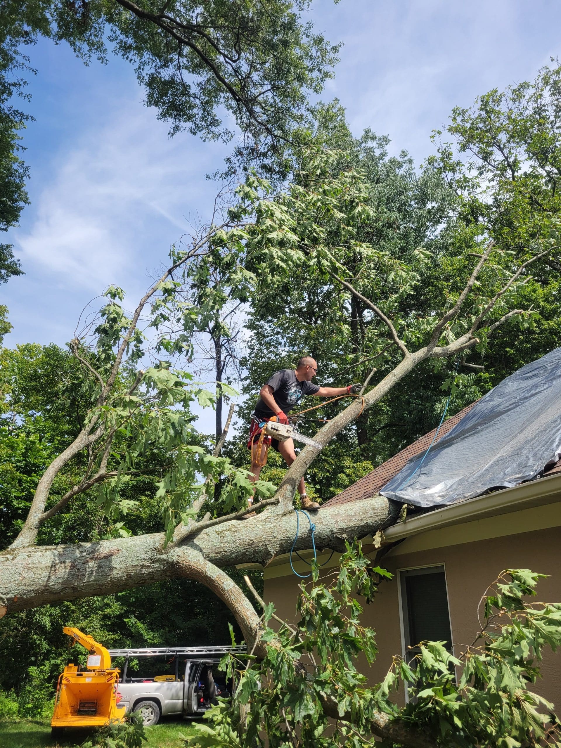 Emergency Tree Services