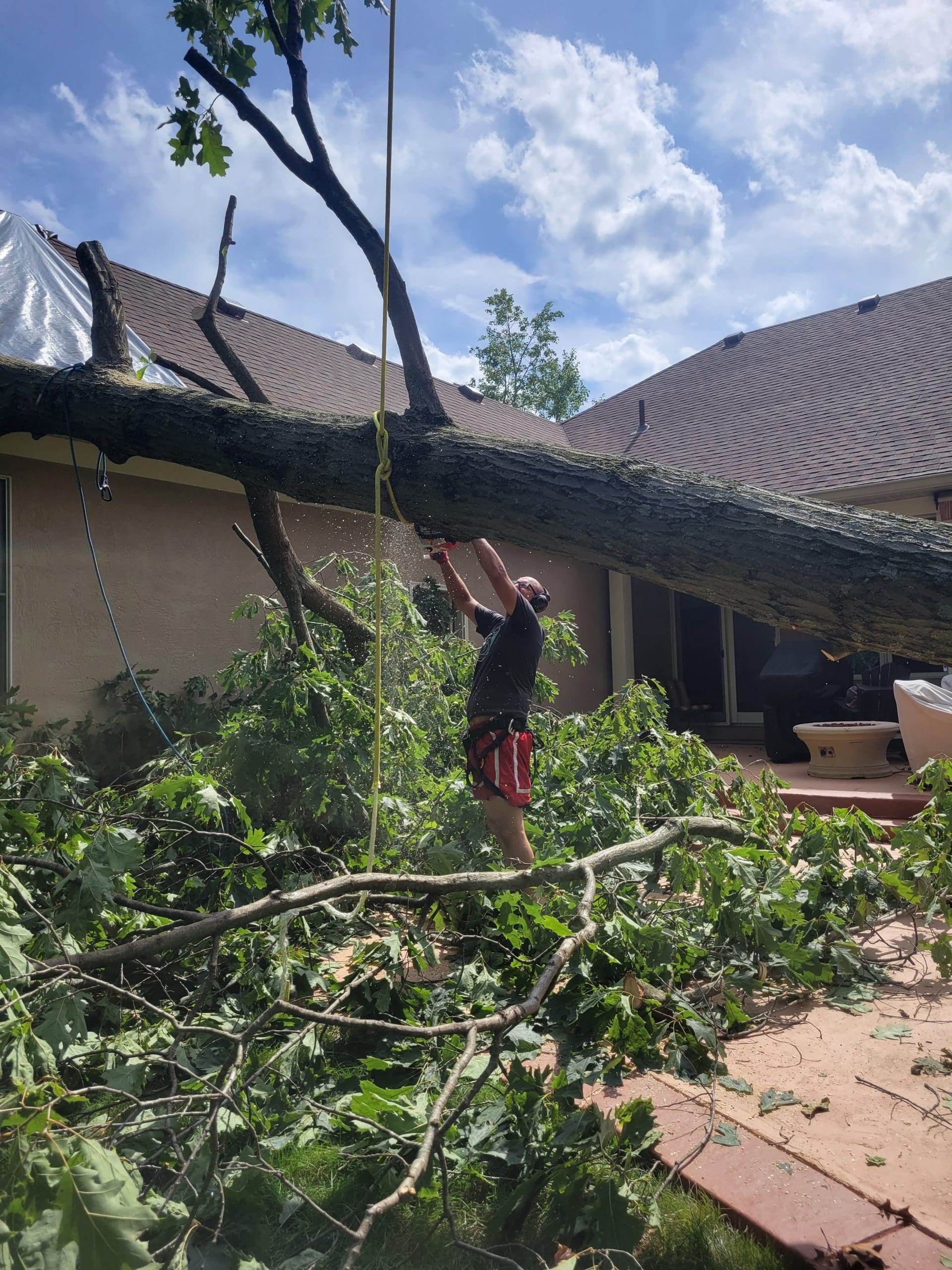 Abraham Pickering, owner of Pickering Tree Service